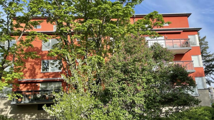 Baksidan vid hus 19