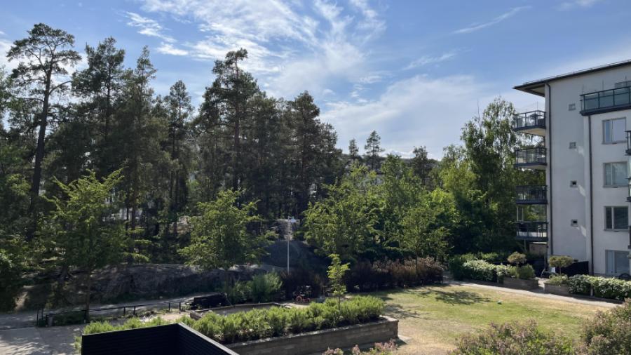 Sommar 2023