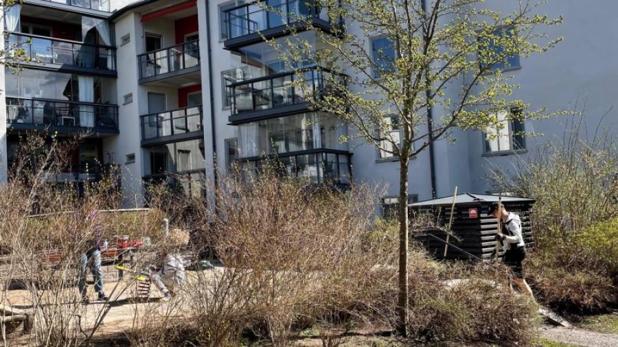 Vår på innergården 