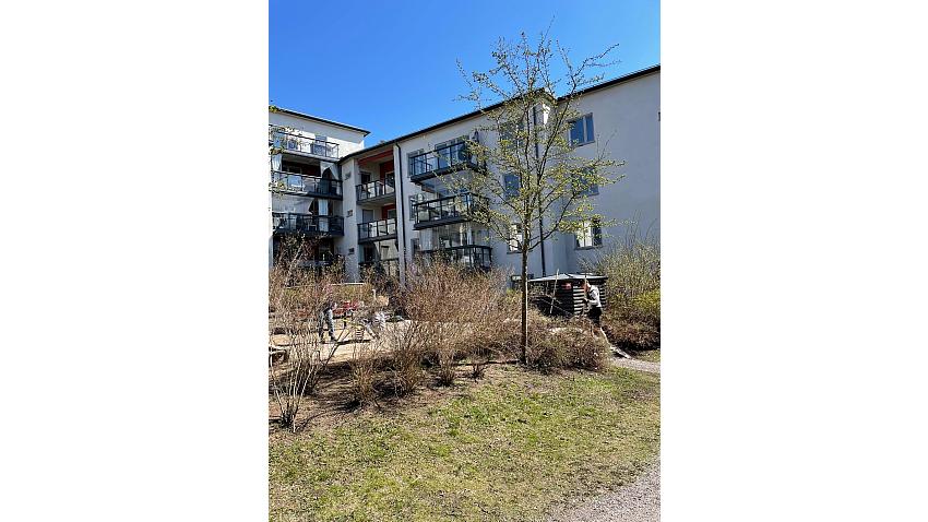 Vår på innergården 