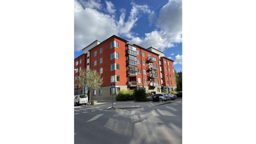 Vår utanför 31:an